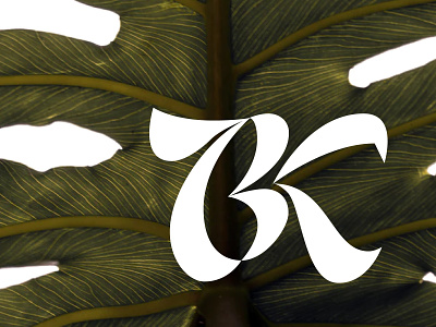 BK monogram design lettering logo logotype monogram simplicity typography vector