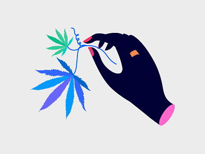 plant cannabis hand plant