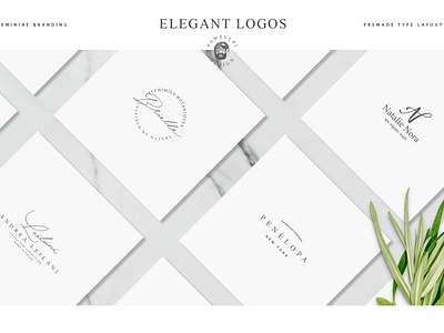 50 Elegant Premade Logo Templates