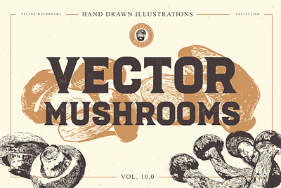 FREE VECTOR MUSHROOMS bundle download download for free elegant free illustration mushroom premium psd vintage