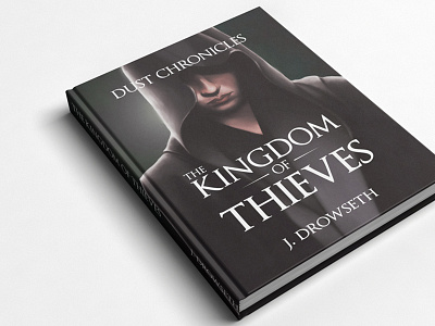 The Kingdom of Thieves assassin book digital art fantasy illustration kingdom of thieves nanowrimo