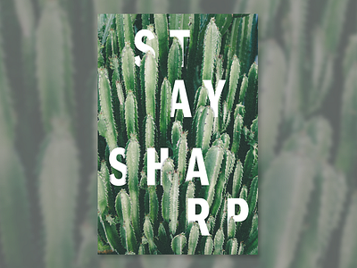 Stay Sharp cactus typography