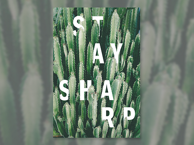 Stay Sharp