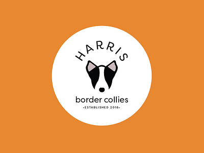 Border Collie Breeding Business border collies branding dogs logo
