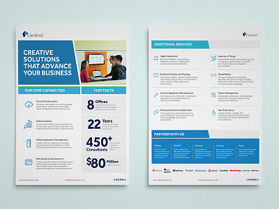 Cardinal Overview Flyer branding flyer icons