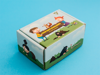 Box with inspiration cards illustration packaging