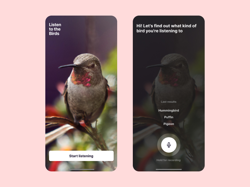 Listen to the Birds App Concept study animal voice search concept birds app design app