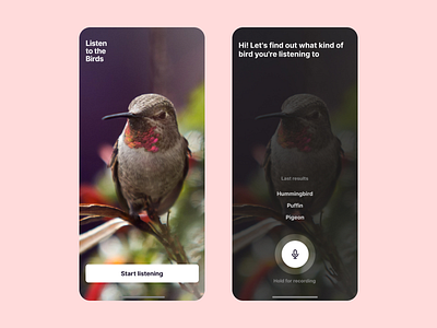 Listen to the Birds App Concept animal app app design birds concept study voice search