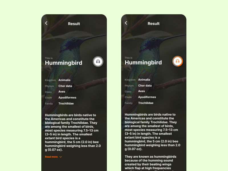 Listen to the Birds App Concept - Result Page voice search study concept birds app design app animal