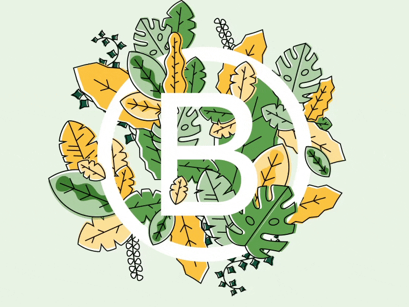 148 is B Corp ! animation bcorp certification green illustration leaf plant vegetal