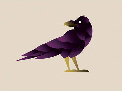 Raven bird gradient grain illustration noise raven