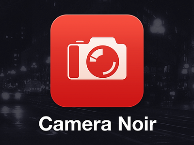 Camera Noir