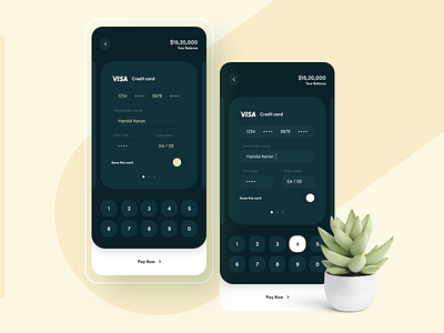 Credit Card Concept Mobile App Design