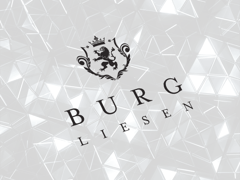 Burg Liesen Logo animacja finanse gdańsk kraków logo nieruchomosci poznań projektant projektant logo warszawa