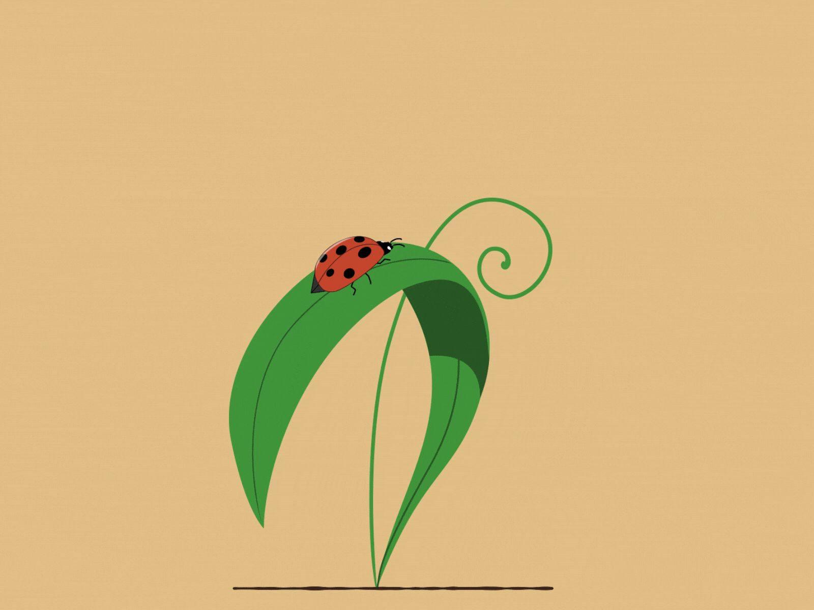 Ladybird & a Water Droplet adobe animate adobe illustrator flight frame by frame frame by frame animation grass ladybird motion design motion graphics motion practice nature water