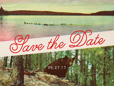 Save the Date bear collage minnesota photography typography vintage wedding