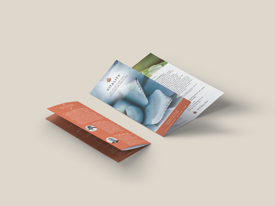 Trifold Brochure brochure corporate identity tri fold