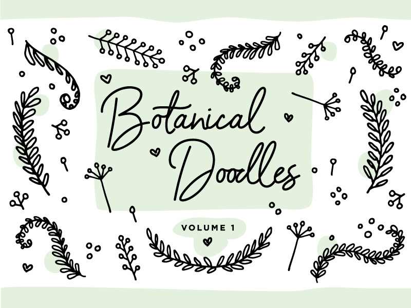 Botanical Line Doodles vol. 1 line drawing clip art floral creative market stock art icon illustration