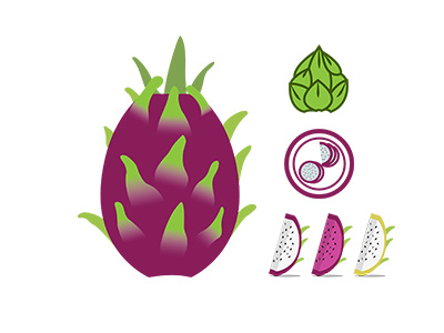 Graphic Assets for Dragon Fruit graphic design illustration