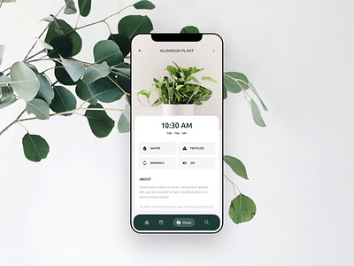 Water your plants! animation app design discover green inspiration mobile plant planting plants plants app reminder search sketch ui ux water
