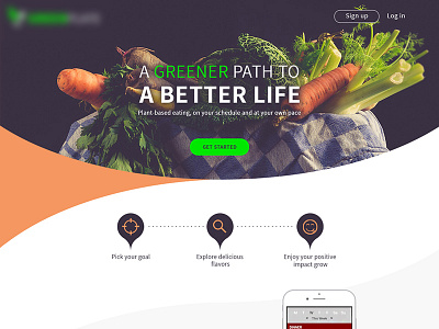 Healthy food web desing design healthy inspiration modern website web web design website