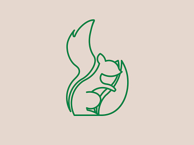 Sinjab Logo animal brand branding cacao design iconka illustration line logo squirrel vector