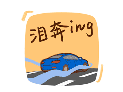 Crying car chinese new year hongqi