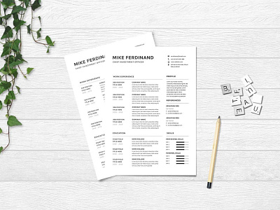 Free Chief Investment Officer CV Resume Template curriculum vitae cv cv template free cv free cv template free resume template freebie freebies resume