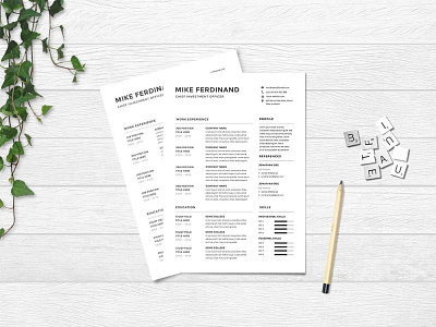 Free Chief Investment Officer CV Resume Template