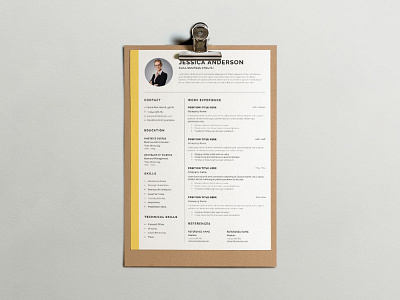 Free Agile Business Analyst CV  Resume Template