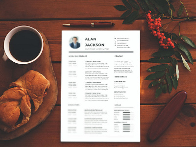 Free Business Controller CV Resume Template