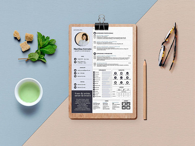 Free Infographic Indesign Resume Template