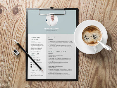 Free Modern Professional Resume Template curriculum vitae cv free cv template free resume template freebie freebies jobs resume