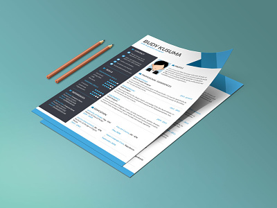 Free clean and modern Resume Template with Three Colors Option