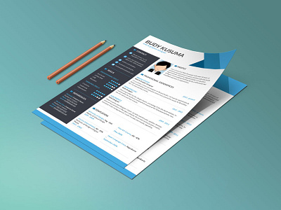 Free clean and modern Resume Template with Three Colors Option by ...