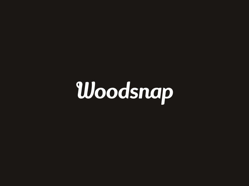 Woodsnap logo construction booth construction edits gif logo logotype photo wood woodsnap
