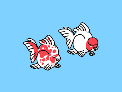 Goldfish illustration fish illustration red