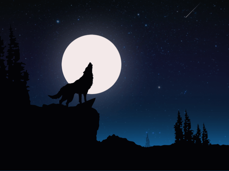 Howling Wolf @Wolffkraft app branding concept dailyui design flat illustration interface ios minimal ui ux vector web