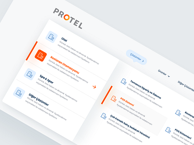 Protel Web Site Navigation Design