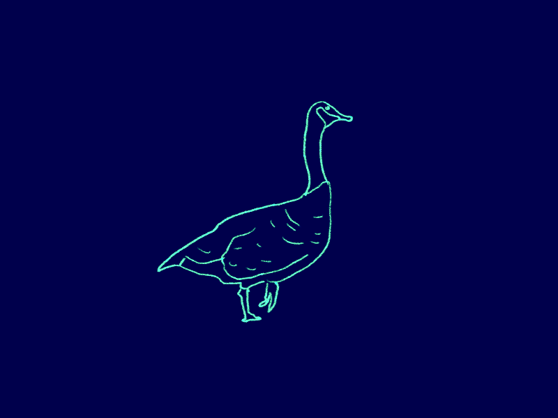 Goose cell animation gif illustration