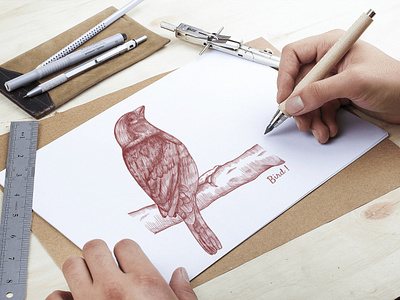Bird Hand Drawn Sketch bird bird icon bird illustration bird logo hand draw illustration illustration design skecth