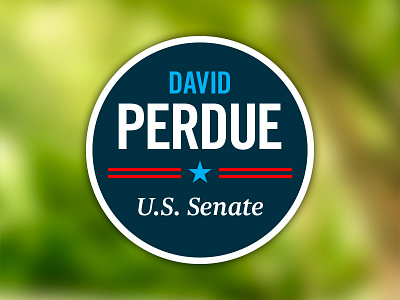Senate Campaign Logo branding logo politics senate