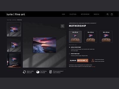 Iurie | fine art gallery e-commerce Shopify design design ui ux web