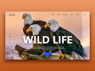Wild Life design header interaction interface landing landing page page site template ui ux web website wildlife