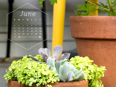 June Desktop Calendar 2013 calendar desktop download june plants succulents summer