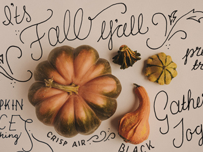 Fall is the best. autumn fall flourish gather gourds hand lettering illustration lettering november pumpkin spice thanksgiving