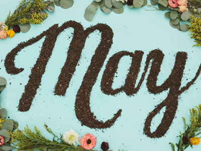 Get Your Hands Dirty dirt flowers hand lettering lettering may object as type potting soil script typography