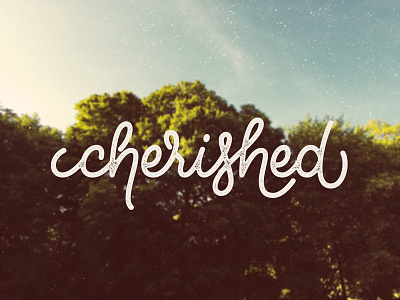 Cherished custom type hand lettering lettering monoline photography script single weight texture type typography