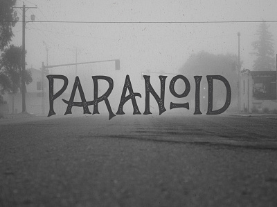 PaRaNoiD custom type hand lettering lettering photography texture type typography