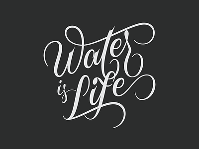 Water is Life hand lettering lettering ligature script spencerian type